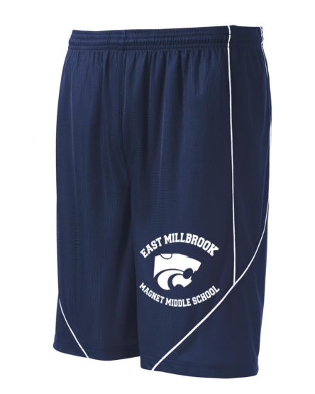 2navy shorts